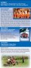 flyer2011-03.jpg